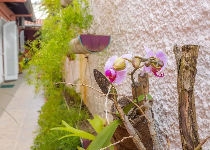 Suites Casa Maembippe
